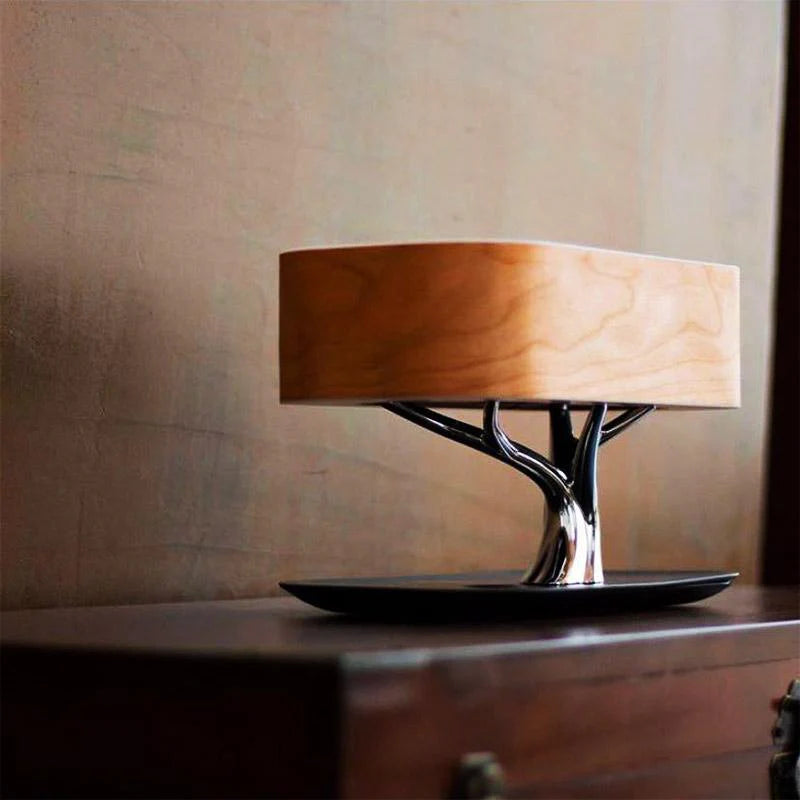ZENITH LIGHT